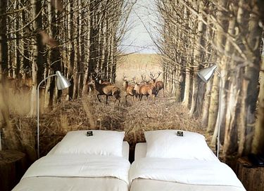 Uniek hotel aan het water - 13
