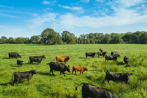 Special stay in a haystack cottage - 4
