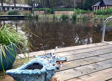 B&B avec étang de baignade - 30