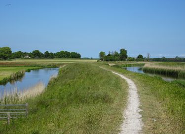 Luxe glamping in Noord-Holland - 24