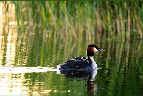 Expérience unique de sommeil sur l'eau à bord d'un bateau - 4