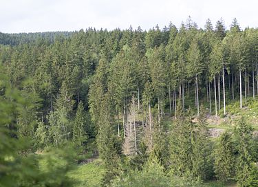 Feriebolig centralt beliggende i Tyskland - 30