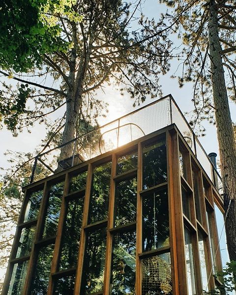 Unique glass cabin at a height of 4 meters - 3