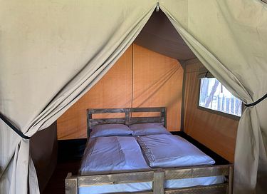 Glampingzelt für 4 Personen in Belgisch Limburg - 6