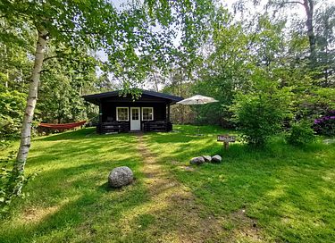 Cabane robuste en rondins (5p) à Holterberg - 3