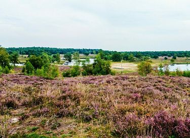 Vakantiehuis voor 6 personen in Limburg - 52