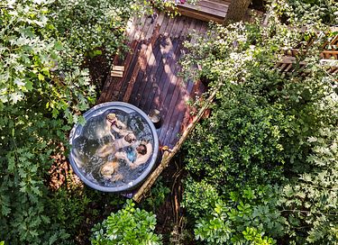 Unique treehouse (5p) with private hot tub - 21