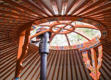 Spacious yurt in unique park in nature - 3
