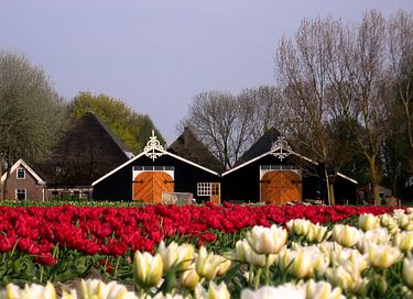 Stolpboerderij met privé zwembad en wellness - 4