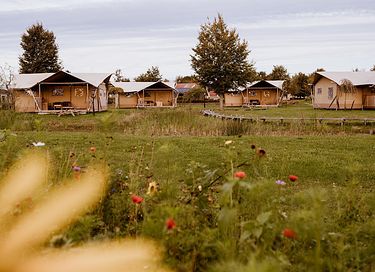 Luxuriöses Safarizelt (5 Personen) mit Klimaanlage - 2