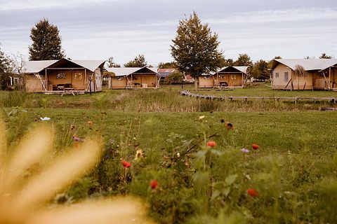 Luxuriöses Safarizelt (5 Personen) mit Klimaanlage - 2