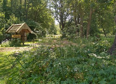 Gemütliches schwedisches Landhaus in Drenthe - 20