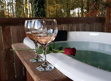 Shepherds hut with hot tub in Drenthe - 4