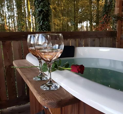 Shepherds hut with hot tub in Drenthe - 4
