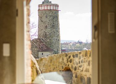 Luxe wellness suite in romantische toren - 23