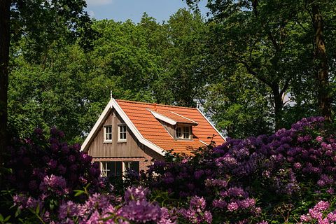 Familievakantiehuis aan een recreatieplas - 3