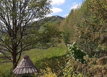 Wellness-Haus mit Sauna im Sauerland - 31