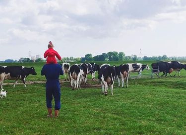 Kamer op een boerderij in landelijk Amsterdam - 7