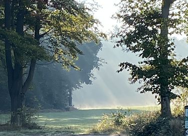 Prachtig natuurhuisje als in een sprookje - 30