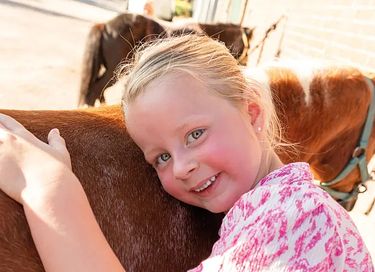 Glamping op Paarden & ponyboerderij - 7