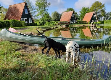 Knus huisje aan een visvijver in het groen - 10
