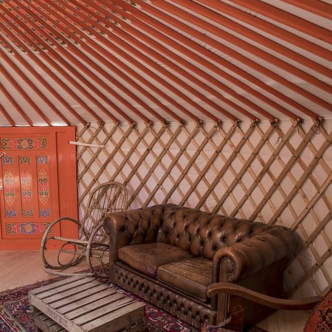 Spacious yurt in unique park in nature - 4