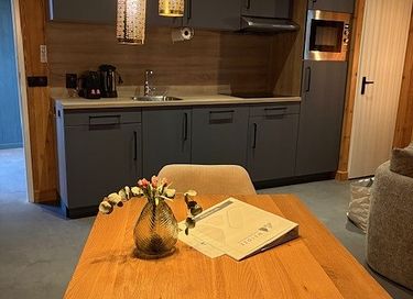 Waldhaus mit Wellness und Aussicht in Drenthe - 19