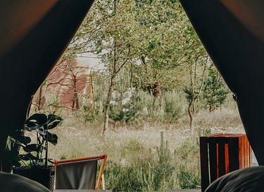 Luxe tent voor 4 pers. op bijzondere locatie - 4