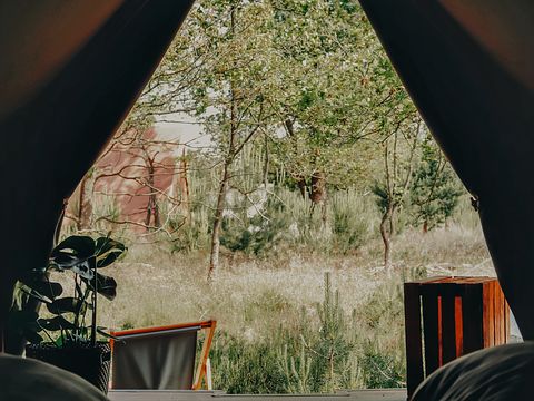 Luxe tent voor 4 pers. op bijzondere locatie - 4