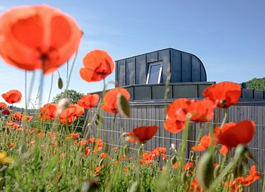 Design holiday home in nature park - 4