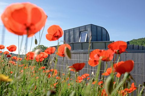 Design holiday home in nature park - 4