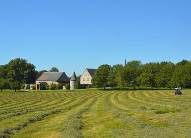 Bungalow familial avec poêle à bois près de Durbuy - 17