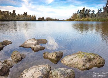 Biebosch insolite sur l'eau - 13