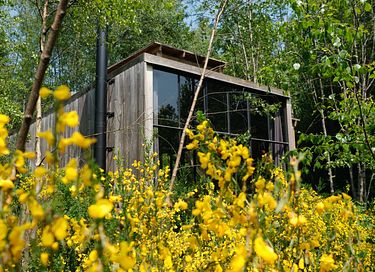 Unique treehouse in the Ardennes