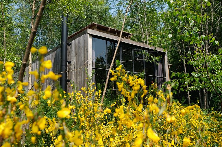 Einzigartiges Baumhaus in den Ardennen - 1