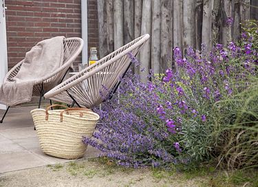Ferienwohnung zwischen den Tulpenfeldern am Meer - 23