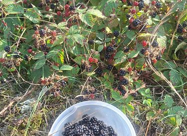 Passer la nuit dans un tipi sur une petite île - 17