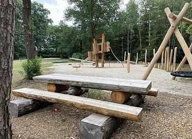 Cabane robuste en rondins (5p) à Holterberg - 20